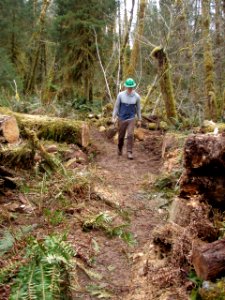 2020 Olympic 01 WTA and BCH volunteers work on Bogachiel Trail. Photos courtesy of Washington Trails Association.