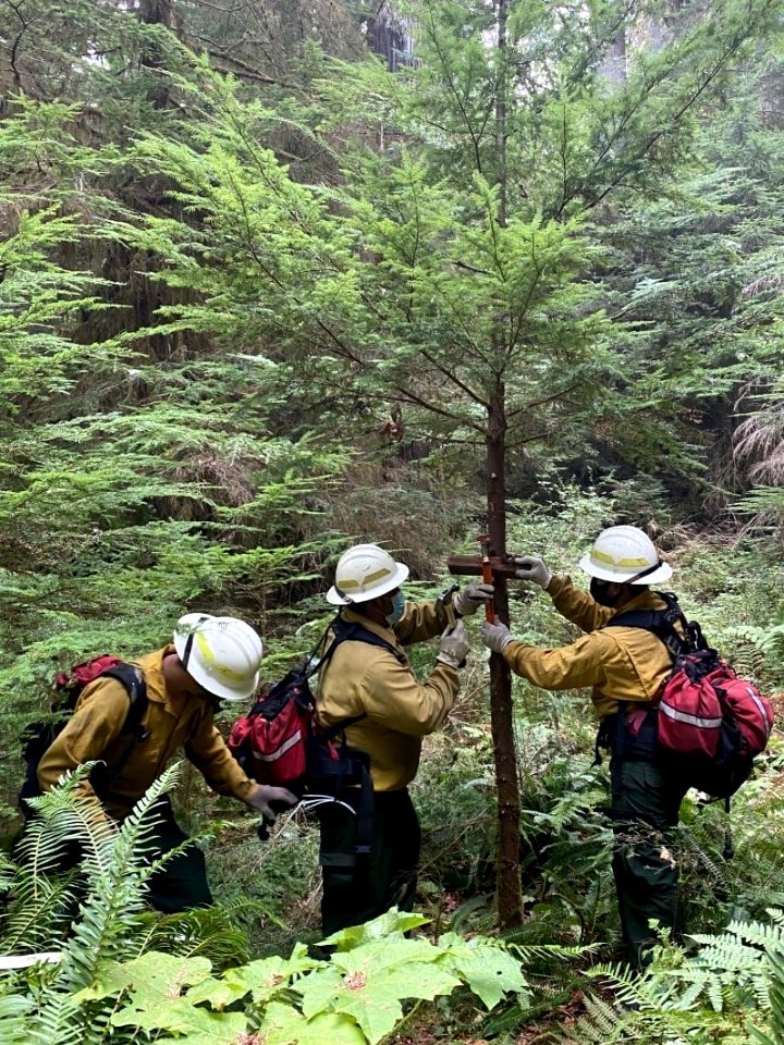 20200914 Firefighters on Big Hollow Fire completing work installing sprinklers to protect cabins at Gov Mineral Springs.
