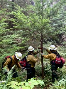 20200914 Firefighters on Big Hollow Fire completing work installing sprinklers to protect cabins at Gov Mineral Springs.