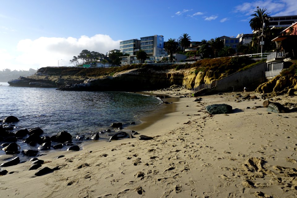 La Jolla Cove, CA (Unedited) photo