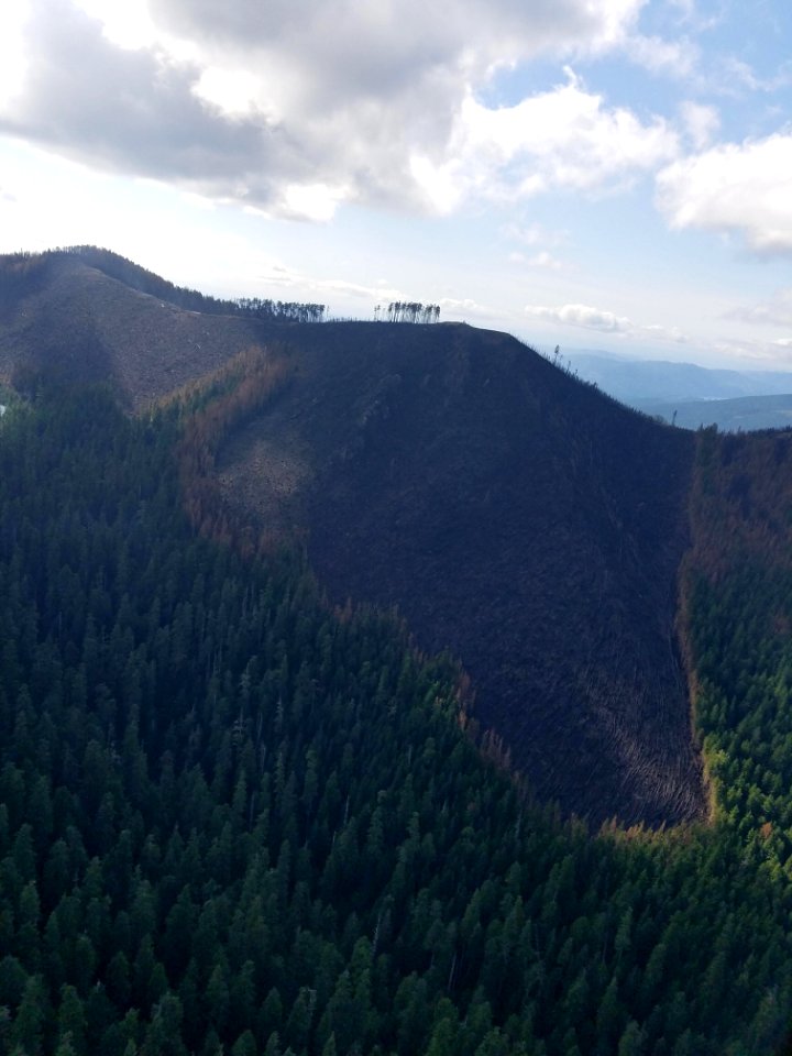 Big Hollow Fire, fire-scarred mountainside