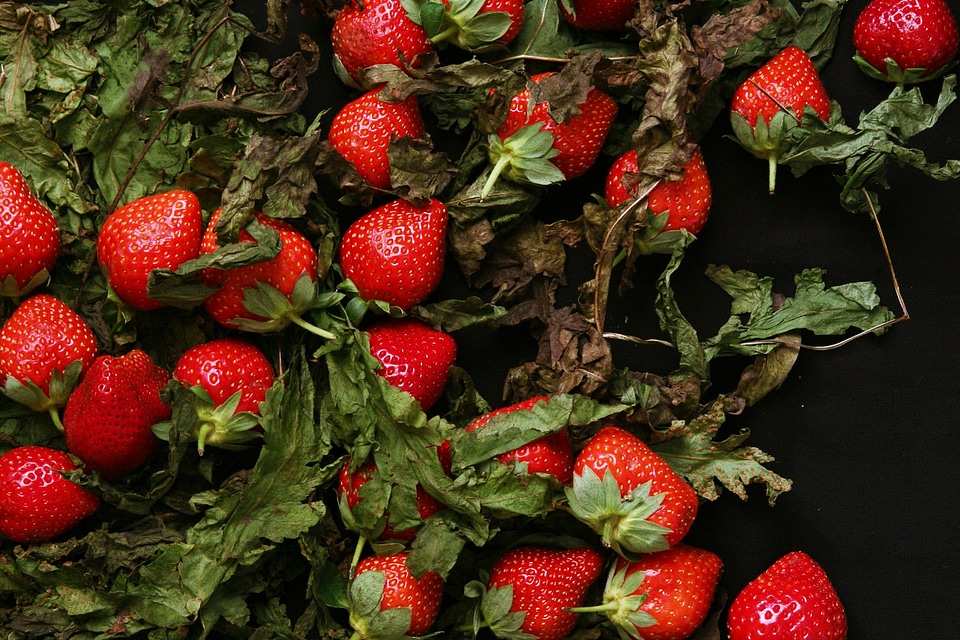 Strawberry fruits healthy
