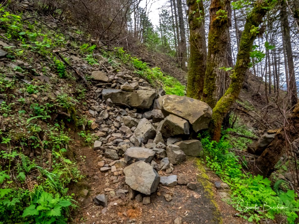 Rock slide along Larch Mountain Trail. Photo courtesy of Trailkeepers of Oregon.
