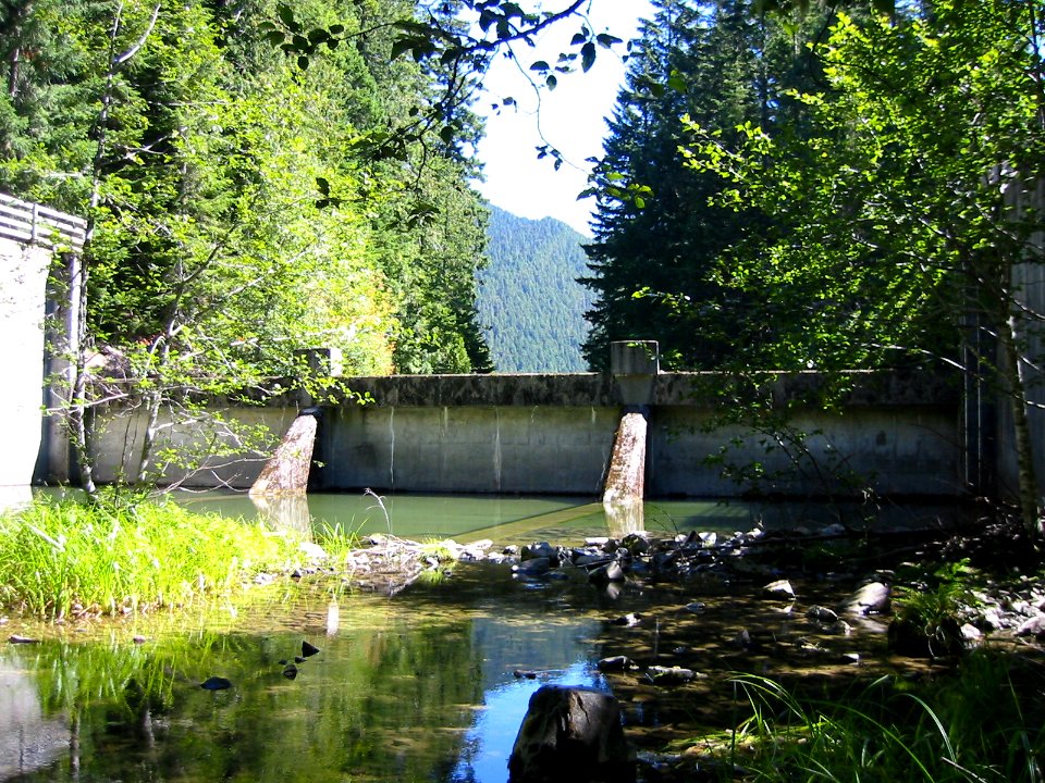 Packwood Lake Dam