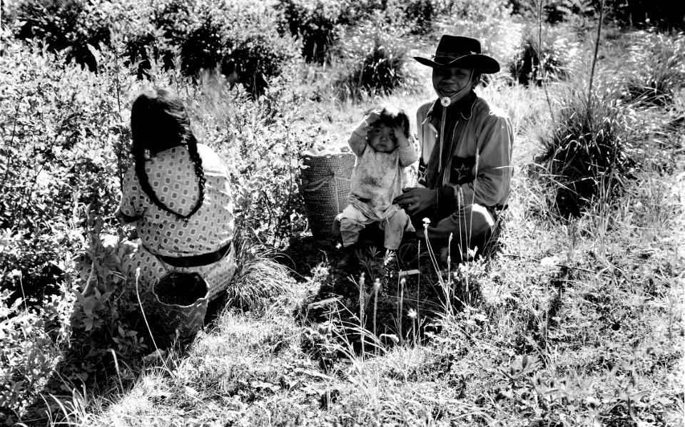 385217 Picking Berries, Columbia NF, WA 1937