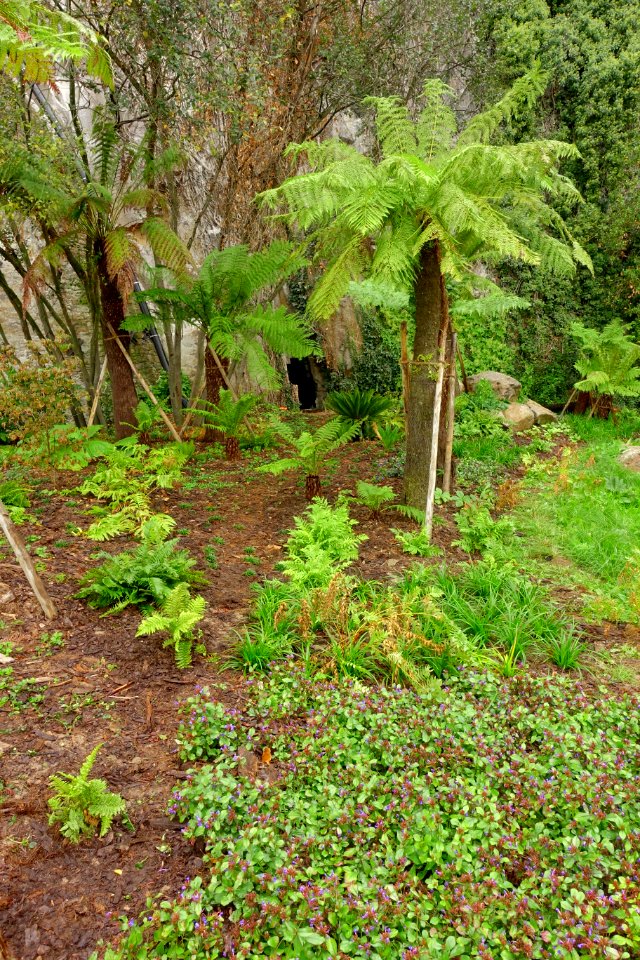 Le jardin extraordinaire de Nantes