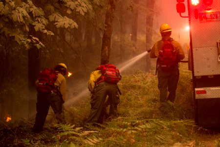 Firefighters, Umpqua National Forest Fires, 2017 photo