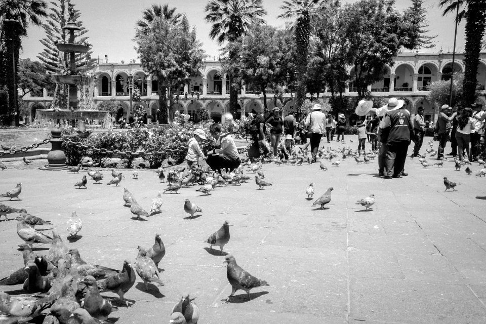 AREQUIPA-201410-11013022