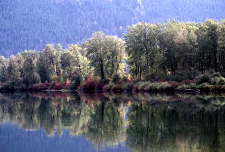 Shoreline Lake Wenatchee, Okanogan-Wenatchee National Forest.jpg