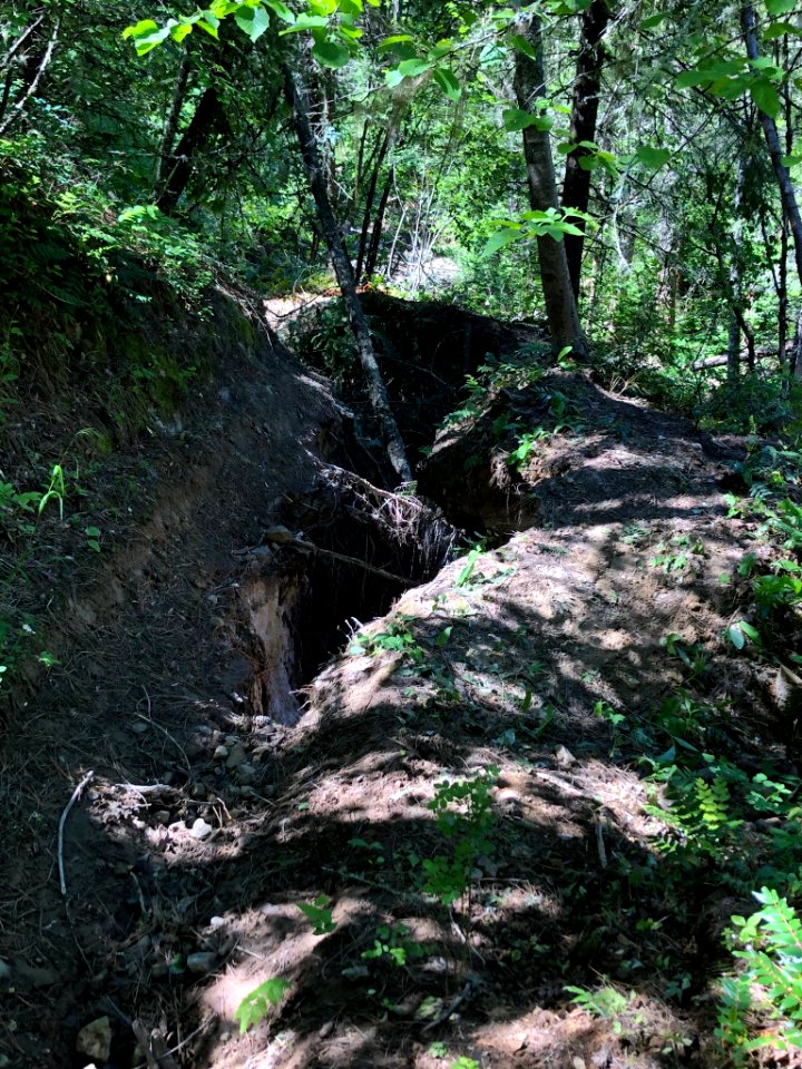 North Fork Walla Walla Trail (South Fork Walla Walla River)