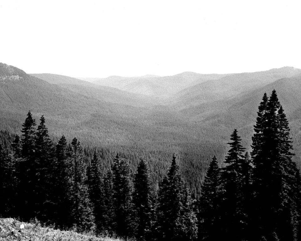 Willamette NF - French Pete Drainage, OR c1977