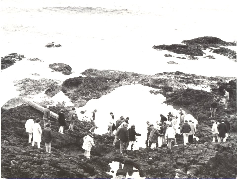 tidepooling photo