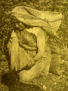 Alsea Woman Digging Roots, Siuslaw National Forest photo