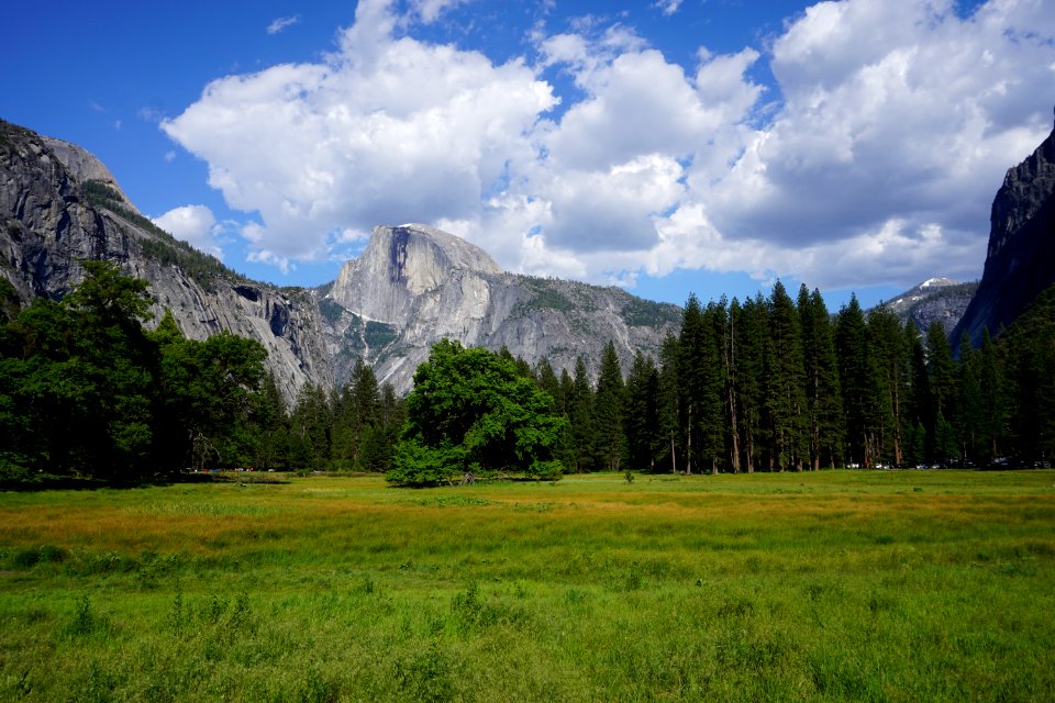 Yosemite, CA (Unedited)