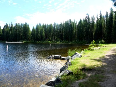 Colville NF Gillette Lake Campground June 2020 by Sharleen Puckett 15