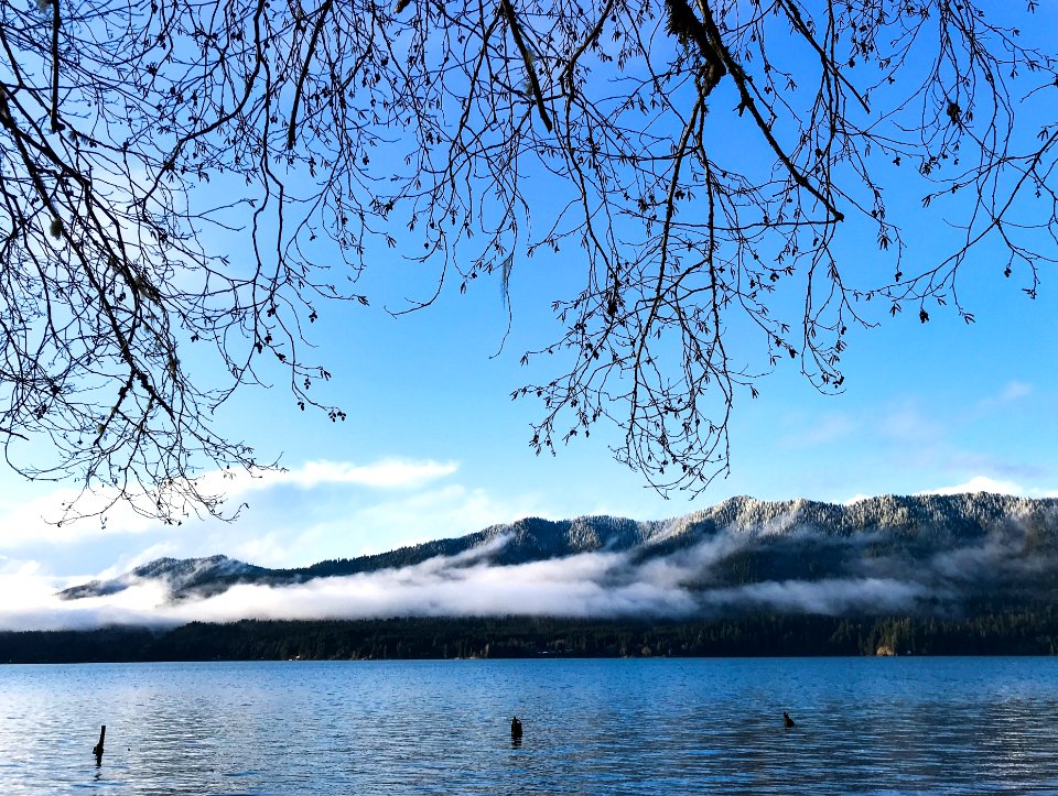 Lake Quinault January 2020, US Forest Service photo.