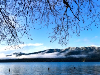 Lake Quinault January 2020, US Forest Service photo.