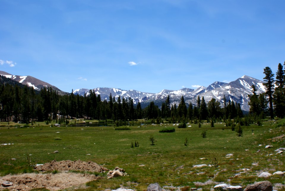 Yosemite National Park, California