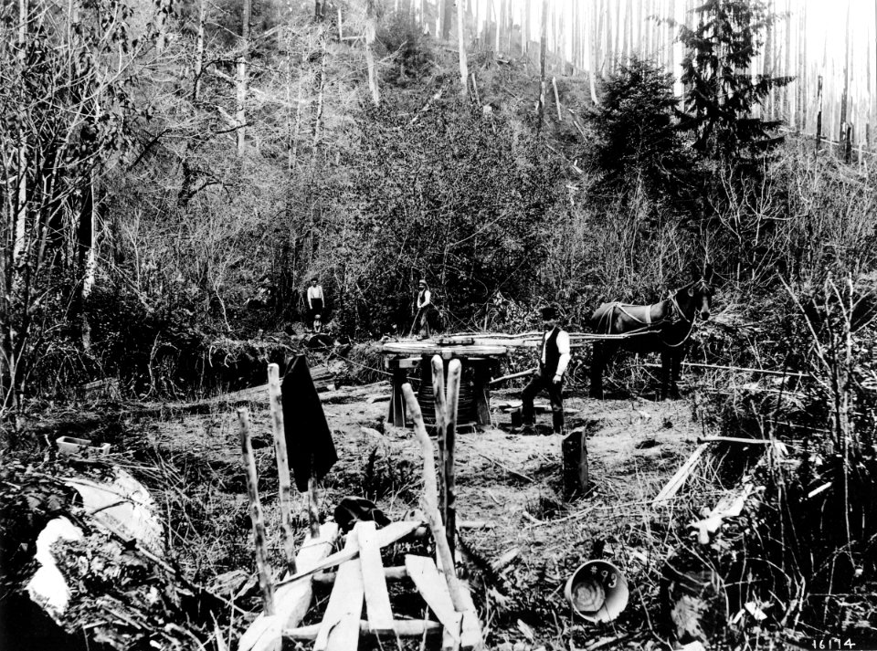 16174 Early Donkey Engine - Collier Photo, WA c1900