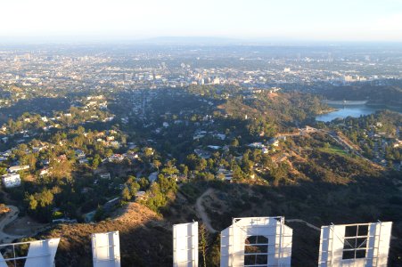 Above the Hollywood Sign photo