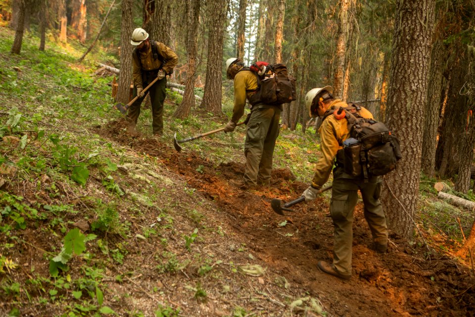 Firefighters dig line, Rattlesnake Fire, 2017