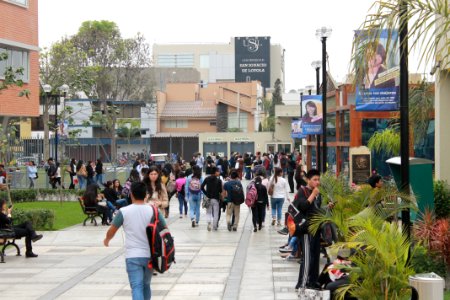 Vida universitaria
