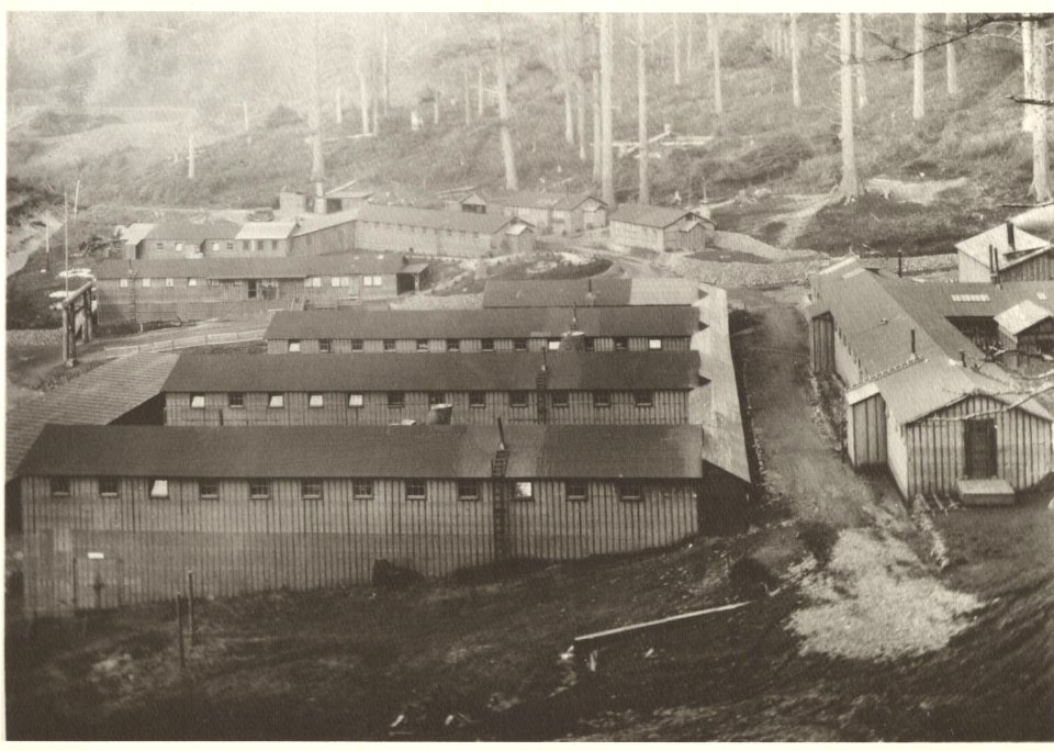 View of CCC's Cape Creek looking north 1936, Siuslaw National Forest