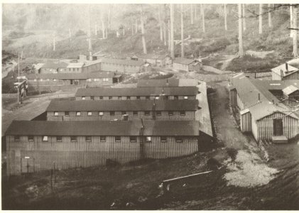 View of CCC's Cape Creek looking north 1936, Siuslaw National Forest photo