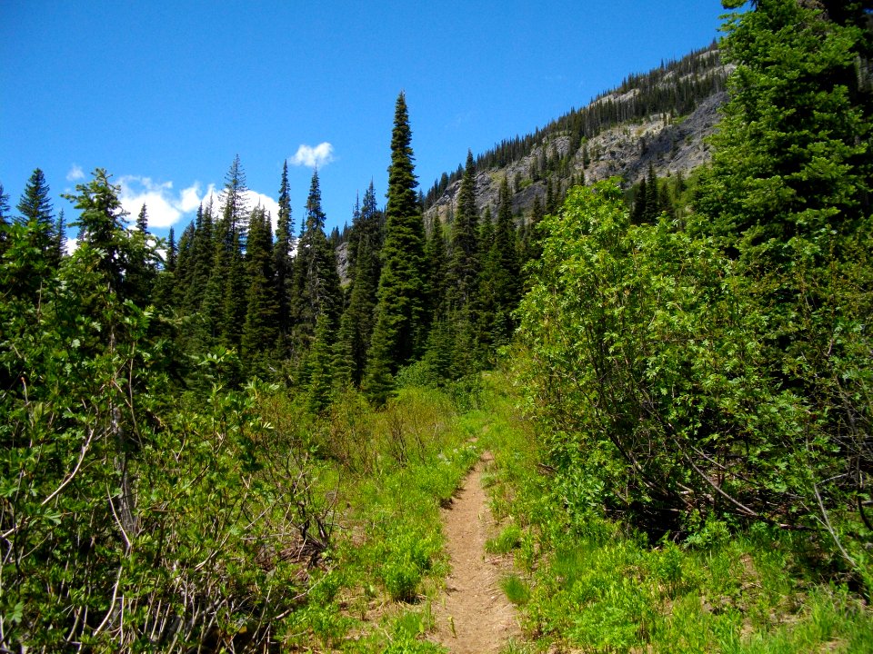Entiat River Trail EntiatRD 2012-07-04 byPatrickHerman