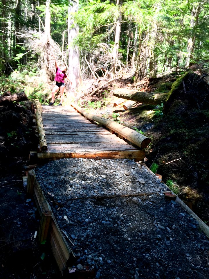 20190527 Olympic Slab Camp Trail bridge by Karen Holtrop