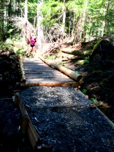 20190527 Olympic Slab Camp Trail bridge by Karen Holtrop