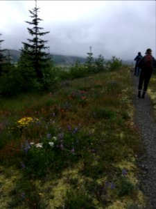 20190702 Hikers at Mount St Helens National Volcanic Monument on a cloudy July day..