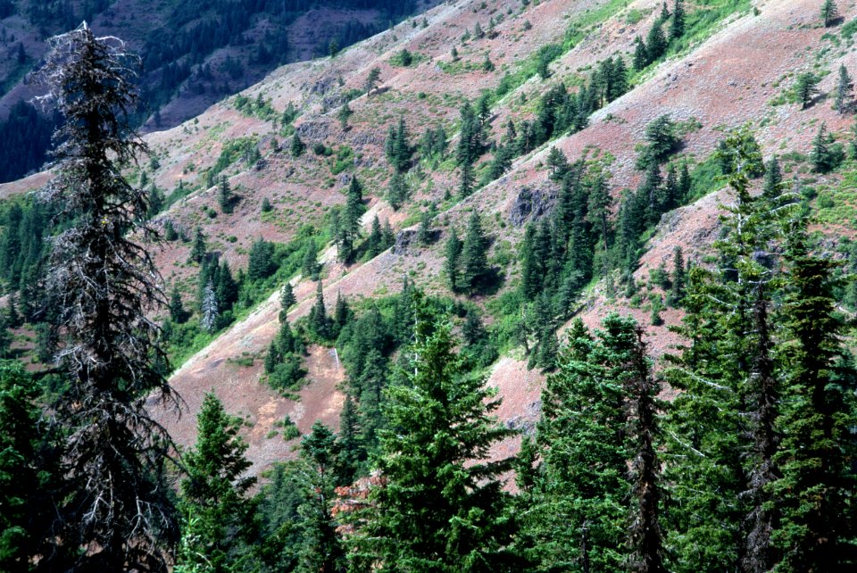 Umatilla Breaks, Umatilla National Forest.jpg