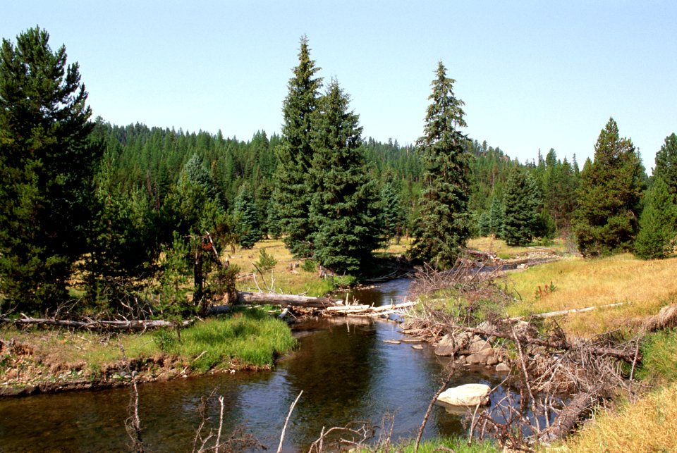 Umatilla Nat'l Forest, Grande Ronde River, stream habitat restoration.jpg