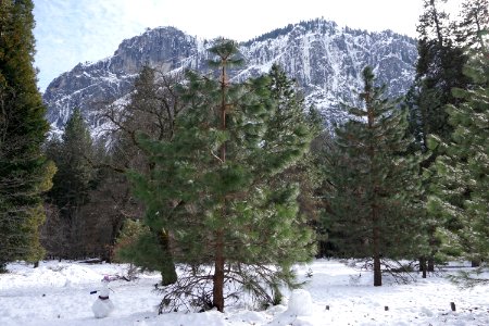 Yosemite Valley, CA (Unedited)