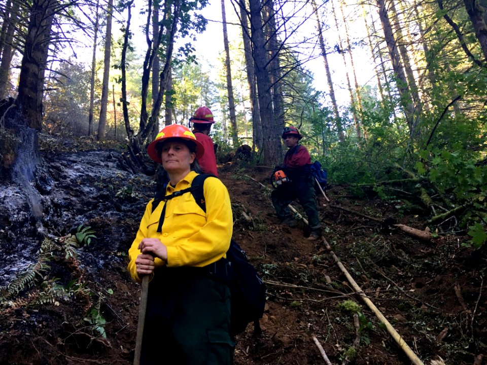 Dozer line on Archer Mountain Fire, Diane Hopster. Sept, 10, 2017