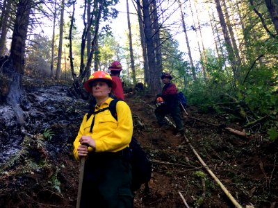 Dozer line on Archer Mountain Fire, Diane Hopster. Sept, 10, 2017