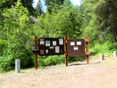 Colville NF - 10-mile campground kiosk - June 2020 - Sharleen Puckett