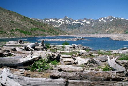 Gifford Pinchot National Forest, Mt St Helens NVM, Spirit Lake Shoreline.jpg