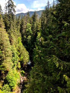 Tributary to West Fork Humptulips River on Forest Road 2204, by Doug Parrish, May 2018 photo