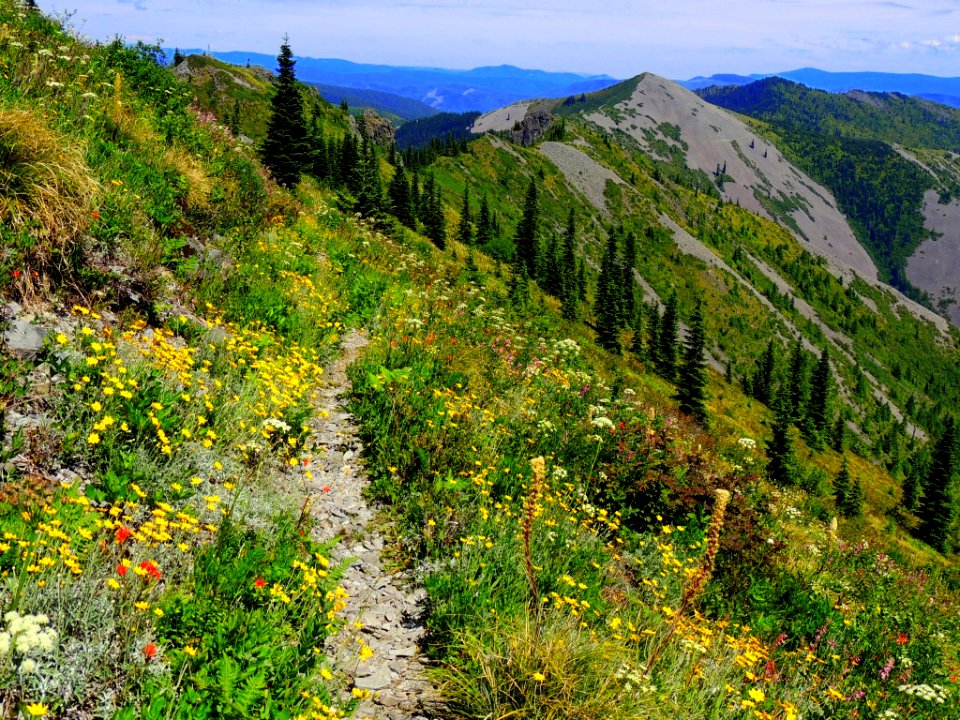 Silver Star Key Exchange on the Gifford Pinchot National Forest