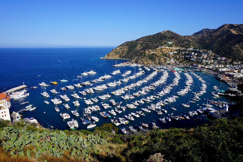 Catalina Island, CA (Unedited)