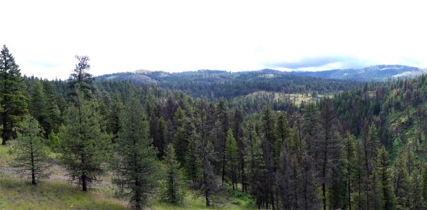 13 Mile Trail June 2020 overlook by Sharleen Puckett