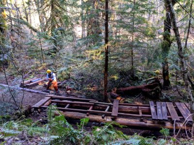 20200226 Olympic Mt Rose Trail Crew working on a bridge at Big Creek Trail in Hood Canal area. photo