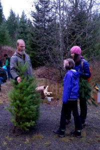 Admiring a tree at a holiday tree outing at Gifford Pinchot National Forest, November 2018.  Photo by Sandy Burks.