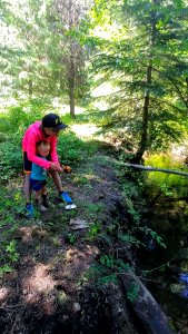 20180704 IndependenceDay SDBurton Camping on the Malheur NF 4th of July 2