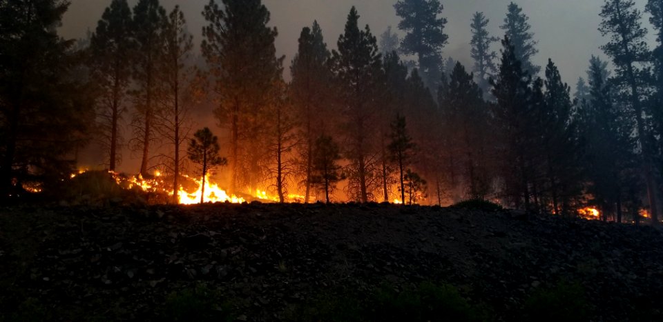 The Canyon 66 Prescribed fire burns grass and underbrush at night photo