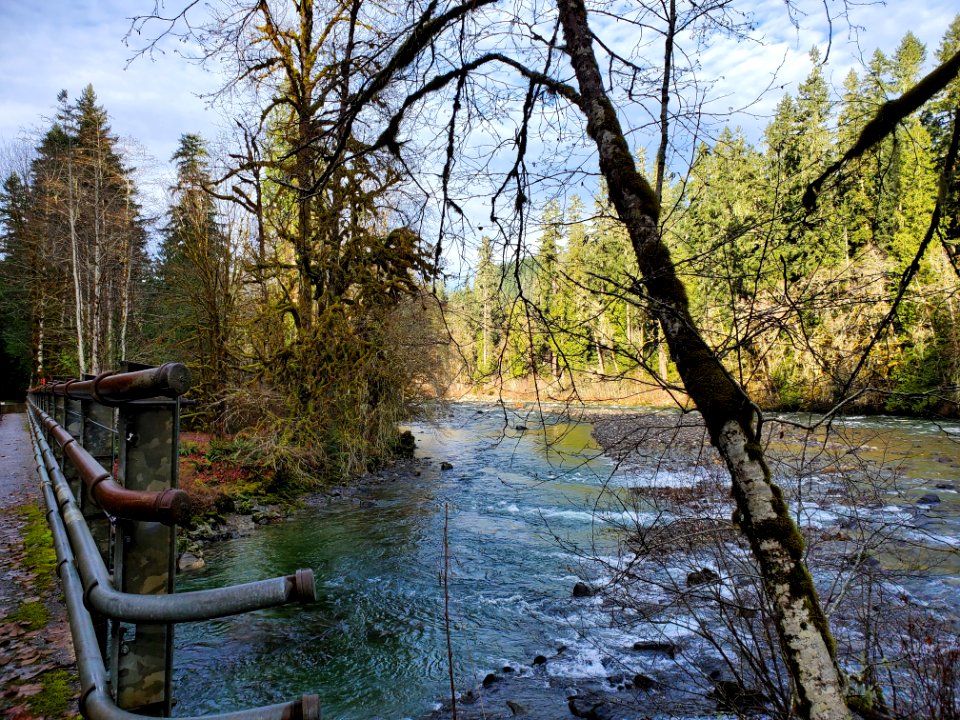 Sauk River near the Clear Creek confluence. Photo by Anne Vassar December 3, 2020.