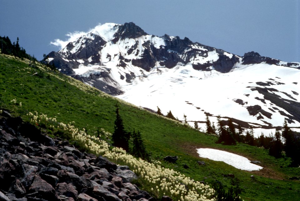 Mt Hood, Mt Hood National Forest.jpg