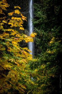 Latourell Falls, October 26, 2018, photo courtesy of Sandi Nicol (SaLyNi Natural Images)
